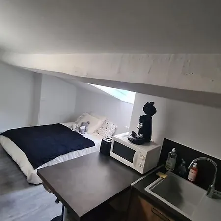 Proche De L'universite Trefilerie